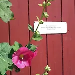 Lindhus Grodersby